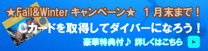 10��ǯ�����ڡ���