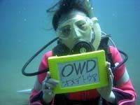 OWD߂łƂ܂II