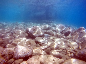 息止める練習しよ イオ池田校の日記