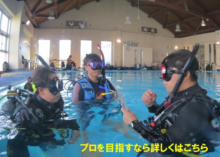 プロになろう Go Pros